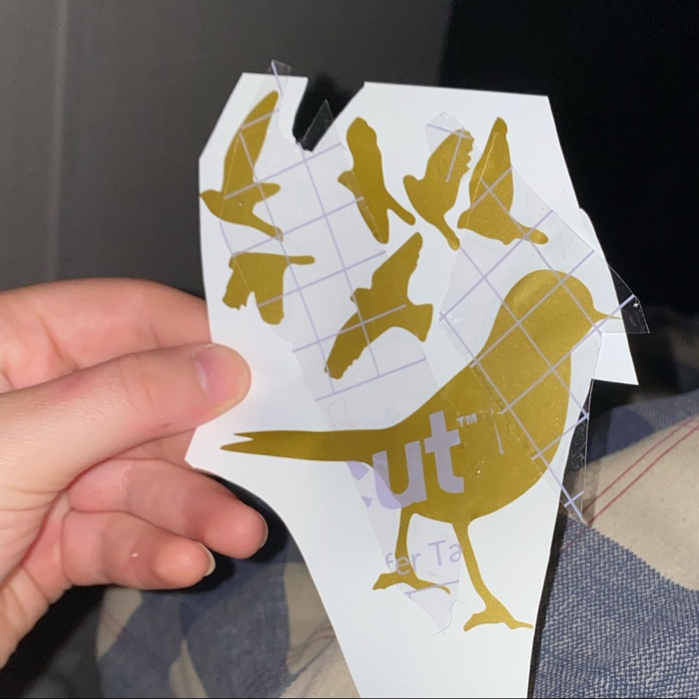 Bird decal